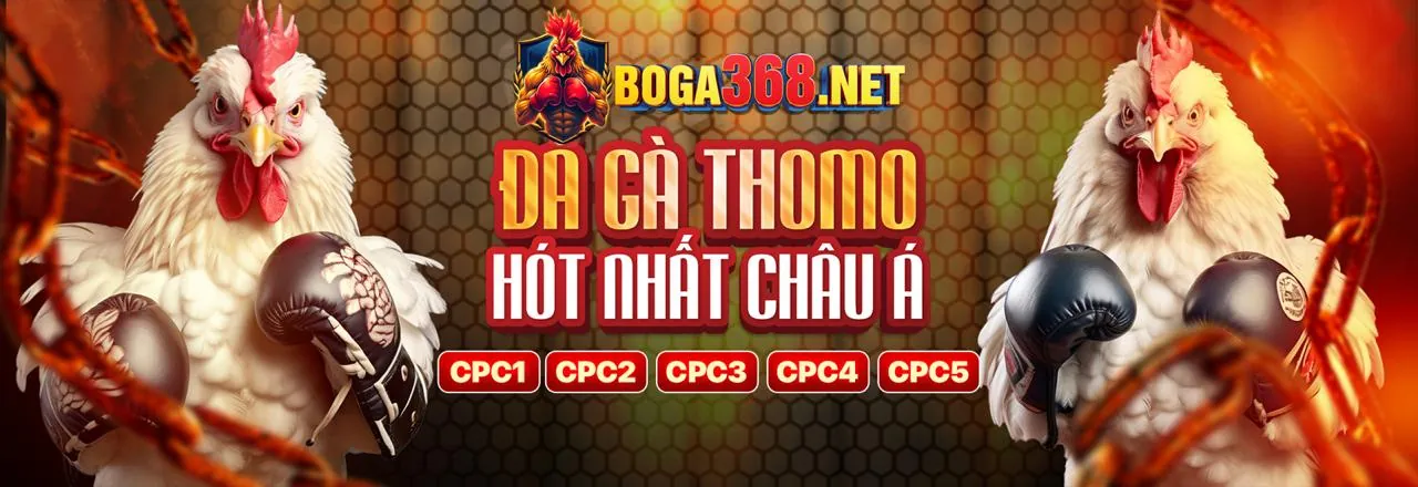 Sân đấu đá gà b69 trực tuyến sôi động