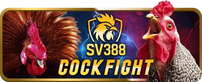Gửi tin nhắn cho b69
